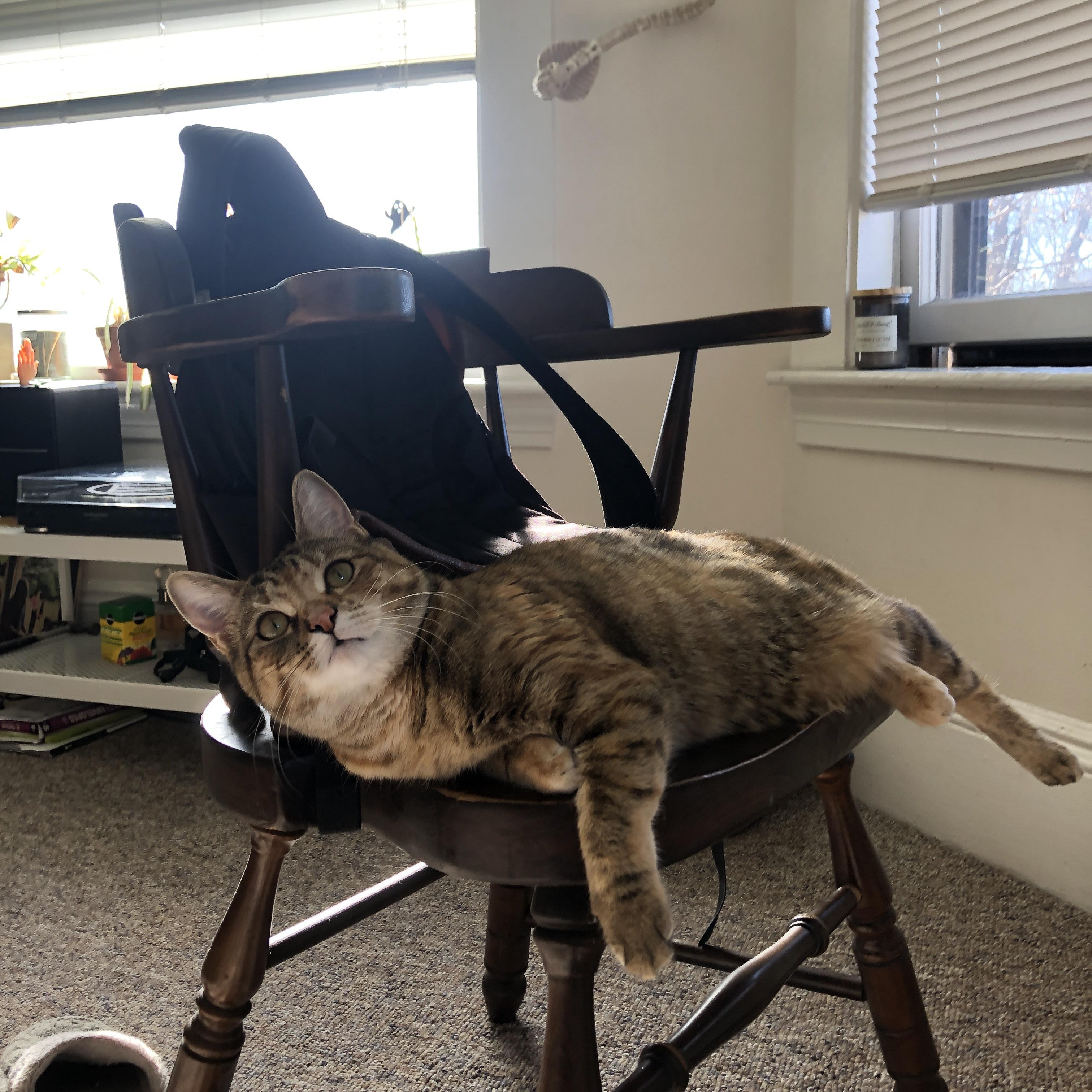 开云官方网-竞技项目人才梯队建设现状分析，人才梯队项目名称