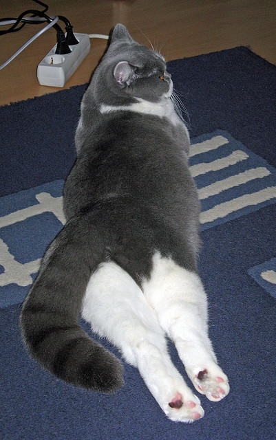 kaiyun开云体育-西甲后腰区域控制力提升成为球队稳定核心，西甲前腰排名