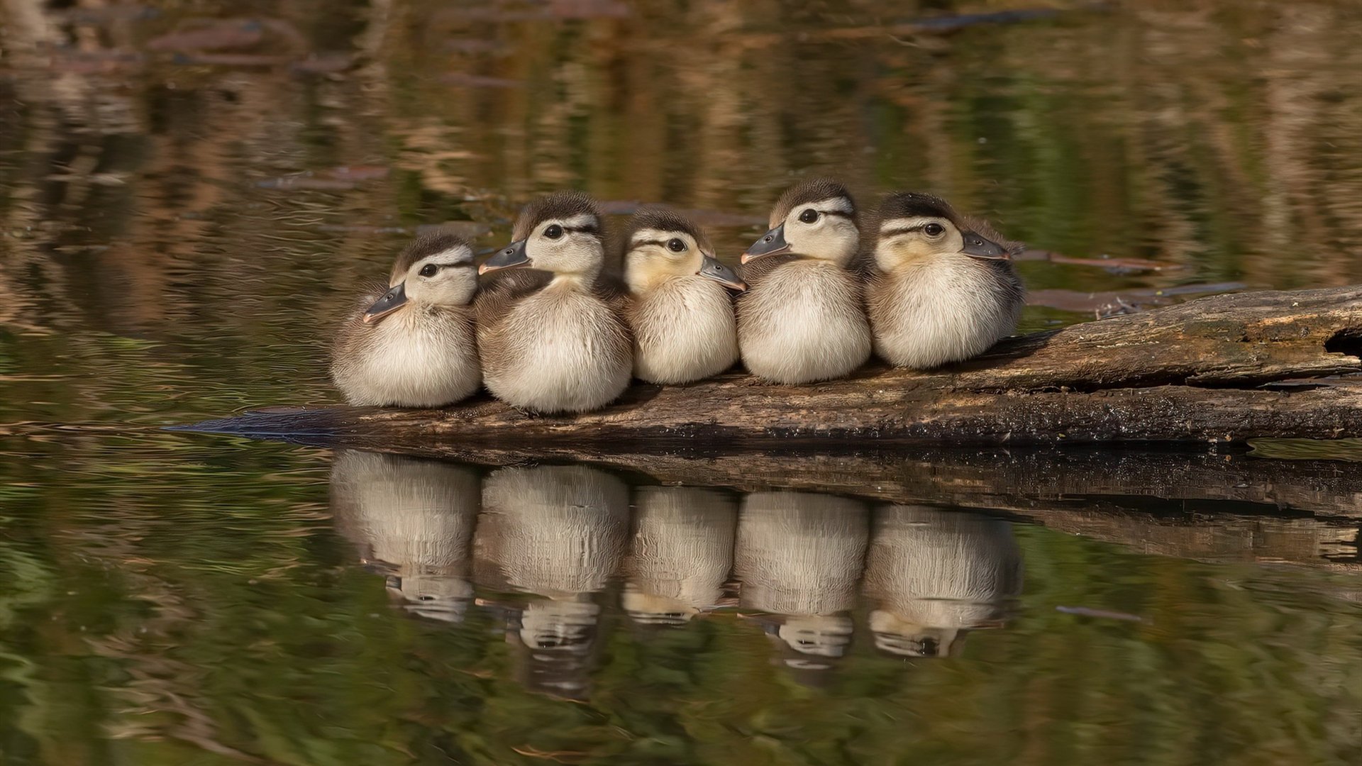 开云体育平台-运动行为对青少年社交焦虑的干预成效评估，运动对青少年运动系统的影响