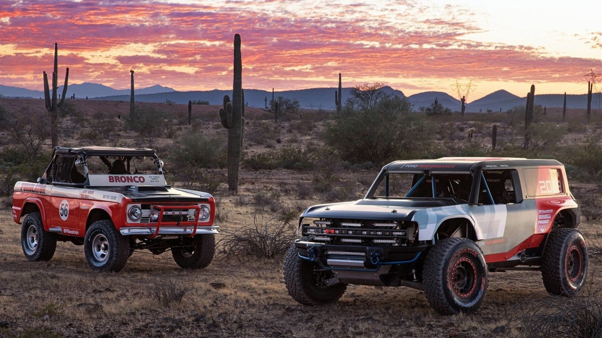 青少年体育社会支持系统研究,青少年体育司