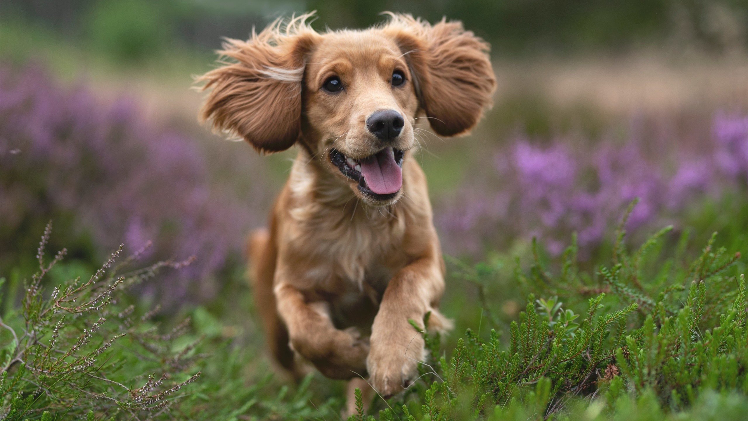 开云体育网址-200自个人突破赛季最佳，创小组奇迹