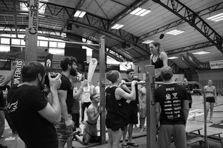 开云体育app入口-“2025世界游泳锦标赛：水上芭蕾精彩纷呈，艺术之美与竞技并行”