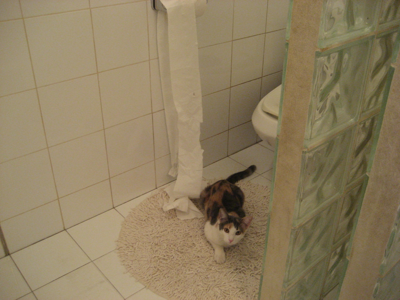 中国三人篮球男队提升阵地防守韧性,中国队三人篮球队员