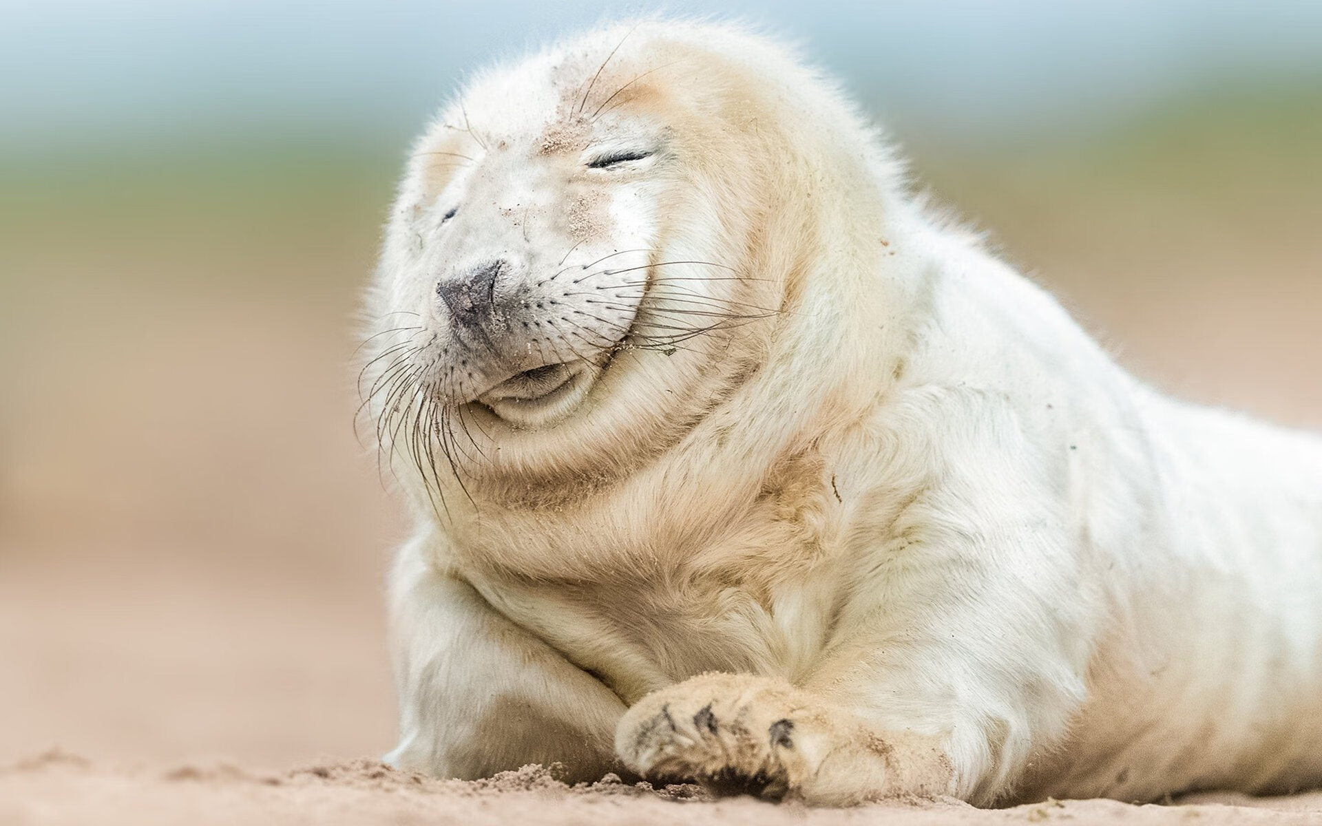 体育新闻中心上线运动类知识图谱自动构建平台,体育新闻网址大全