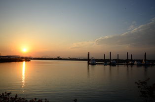 开云在线入口-千帆竞发，轻艇马拉松点亮湖滨赛场，赛艇马拉松多少公里