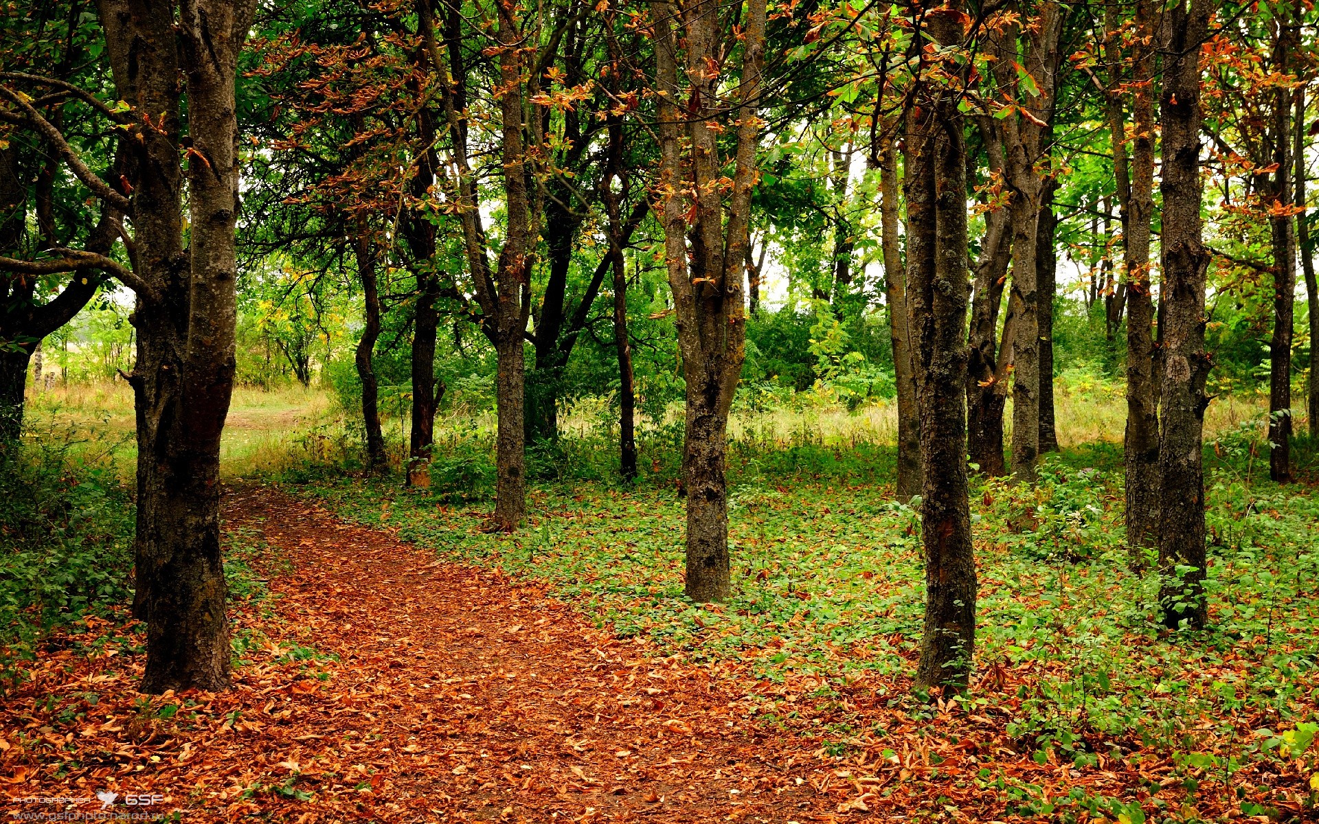 开云官方网-四国蝶泳换气频率战术对比图，蝶泳的换气
