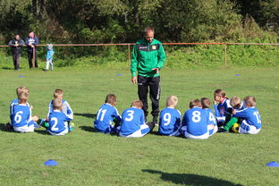 开云在线登入-国家队战术决策效率如何提升，国家队战术决策效率如何提升的