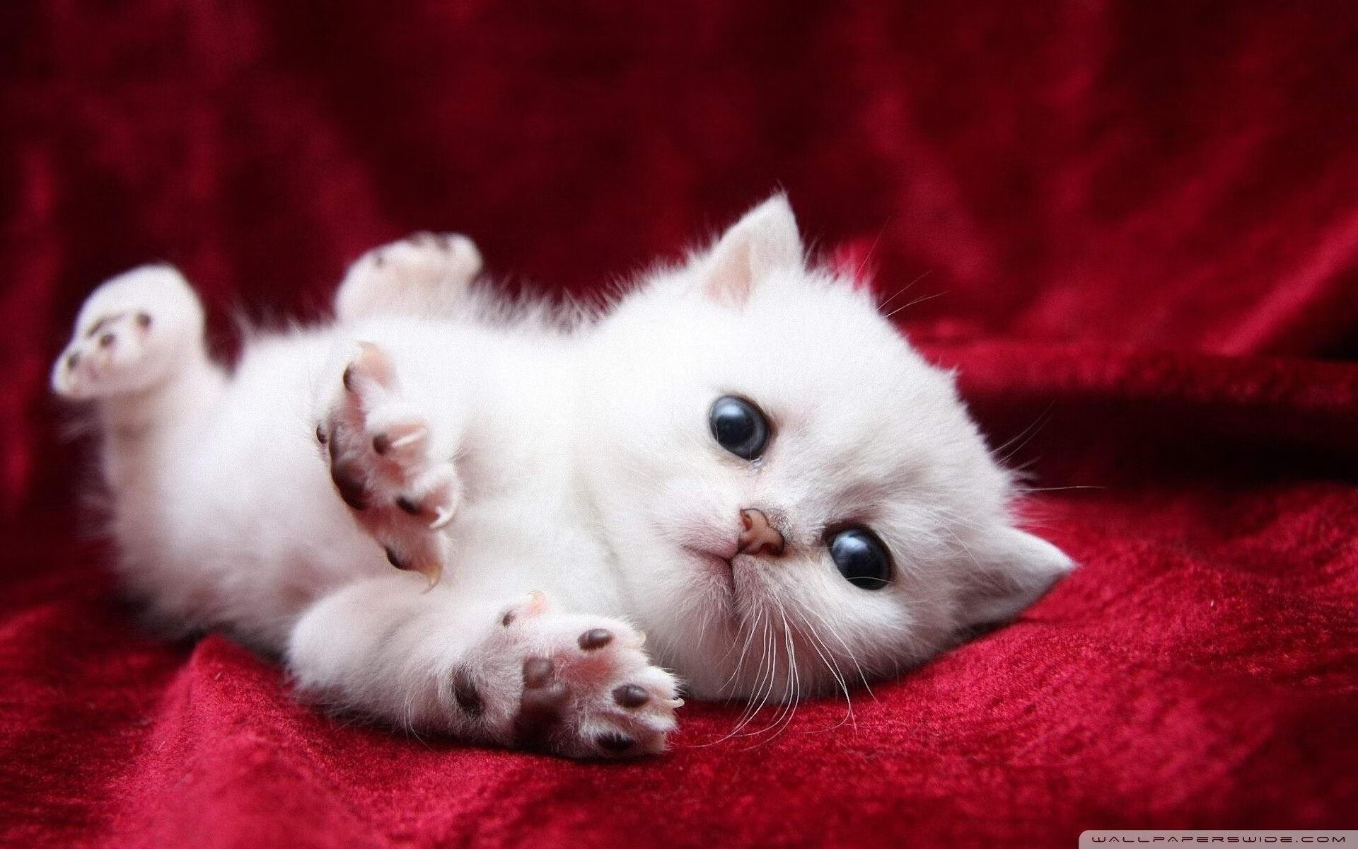 替补上场对战术板灵活度贡献是否被低估,替补队员在每局比赛中的上场机会