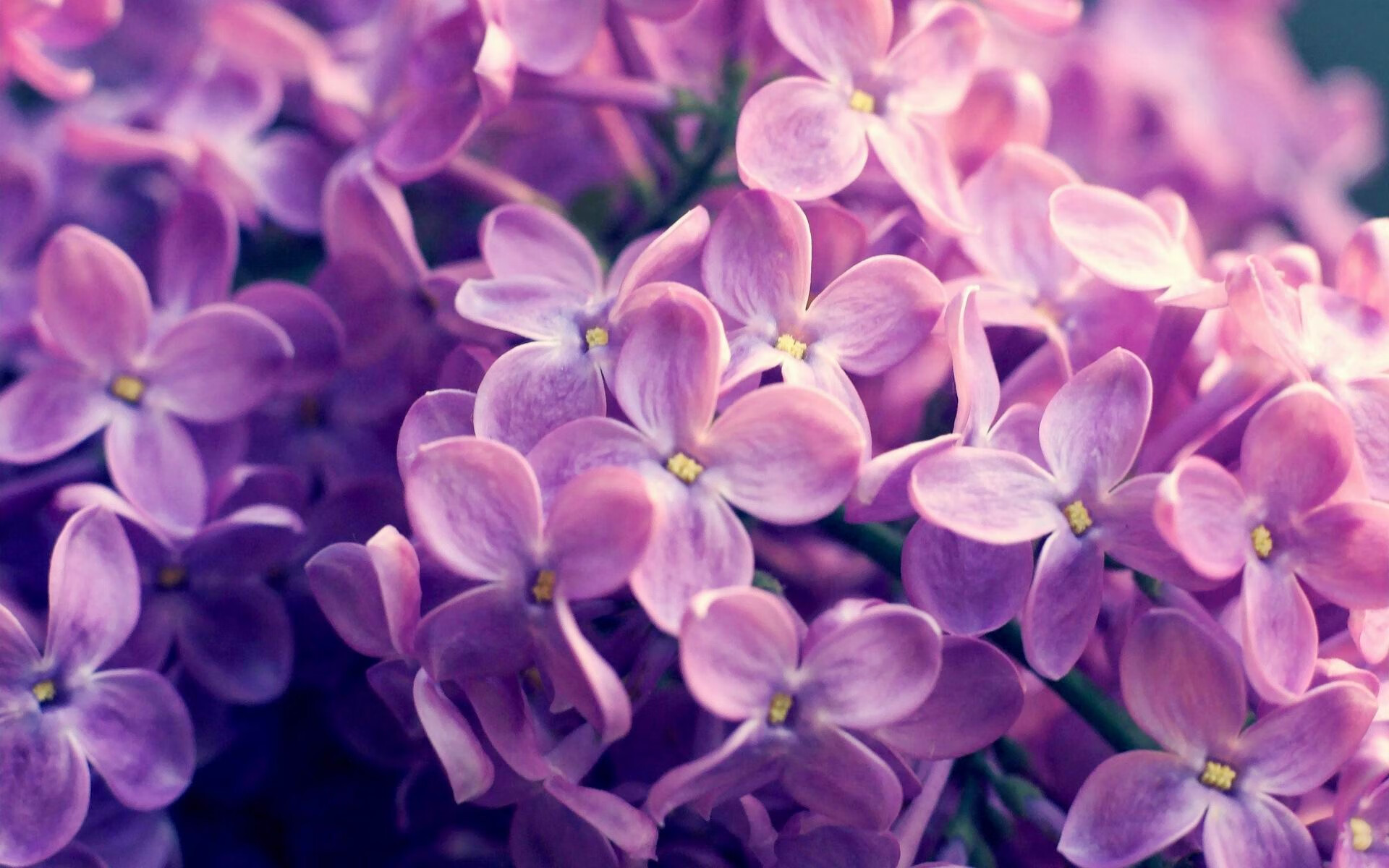 杨瀚森在训练中展示强烈求胜欲望,杨翰林简介