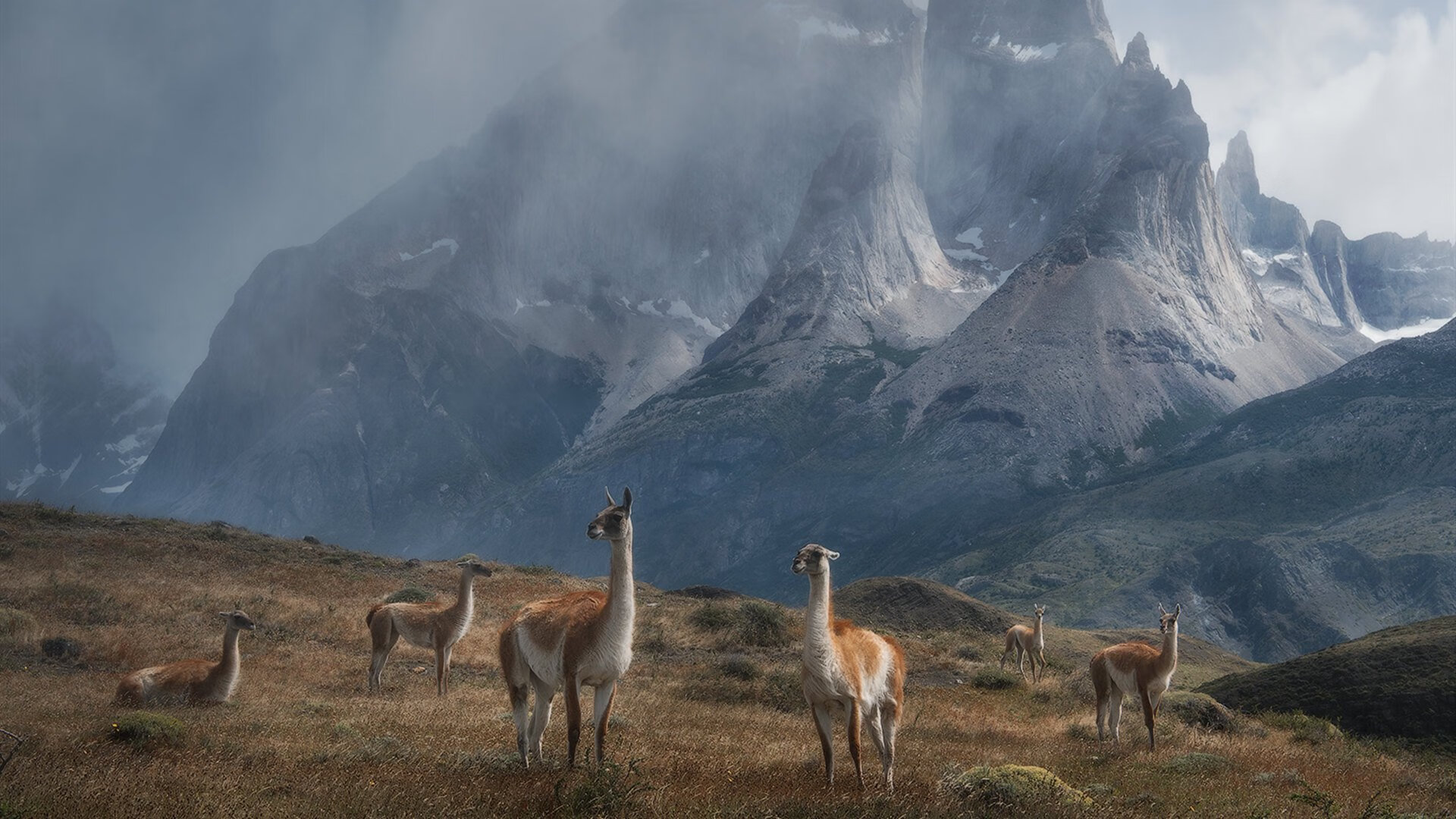 开运体育电脑版-中国足球改革仍需平衡商业投入与青训基础建设，中国足球如何改革