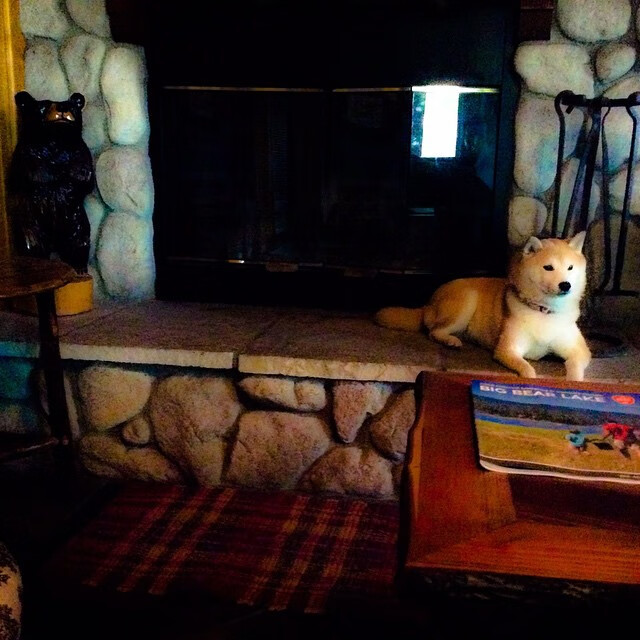 中超首设公平竞赛积分用于年终表彰与奖金分配,2021年中超联赛积分规则