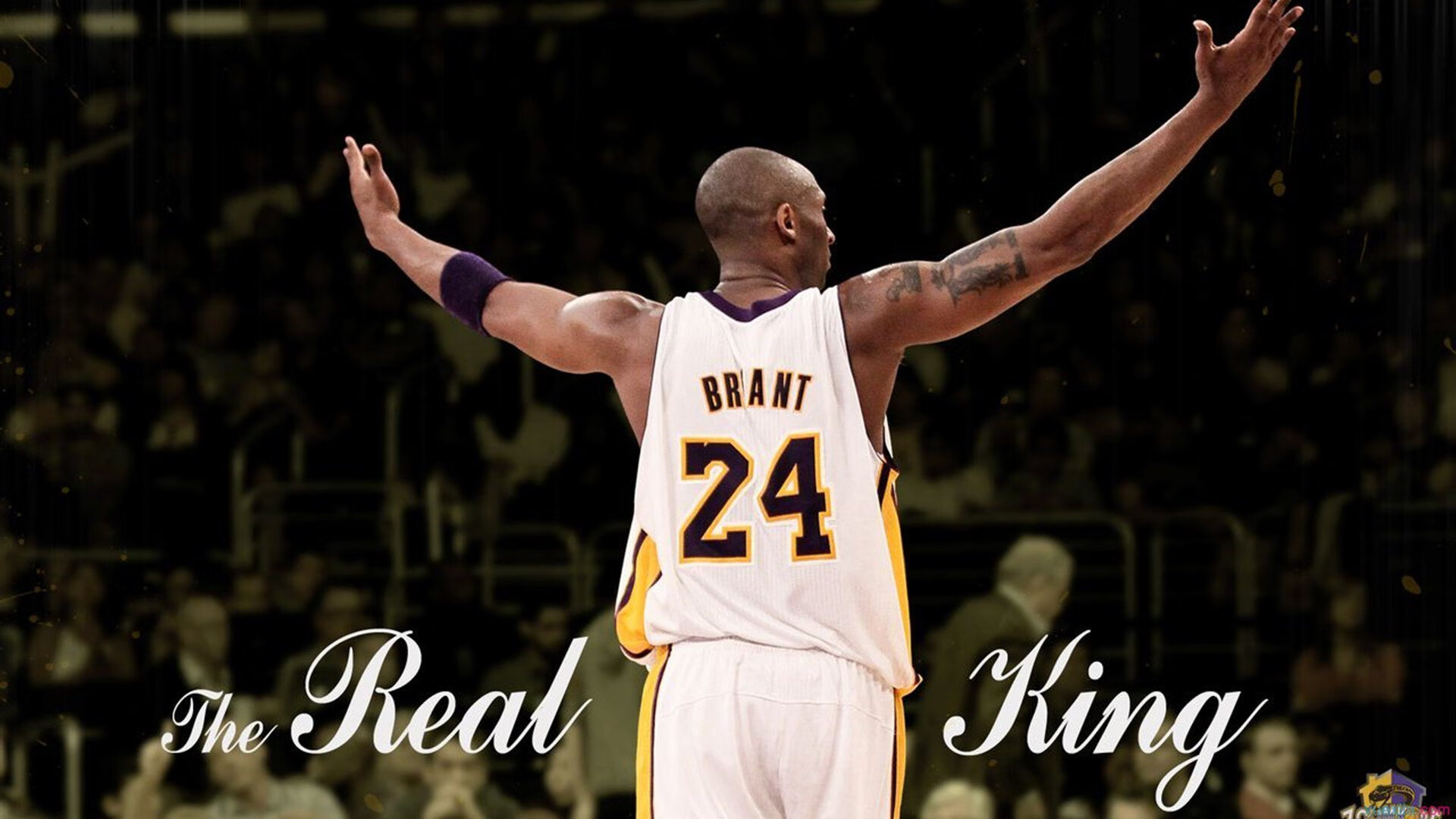 体育场馆智能门禁系统提升管理效率,体育场馆智能化管理