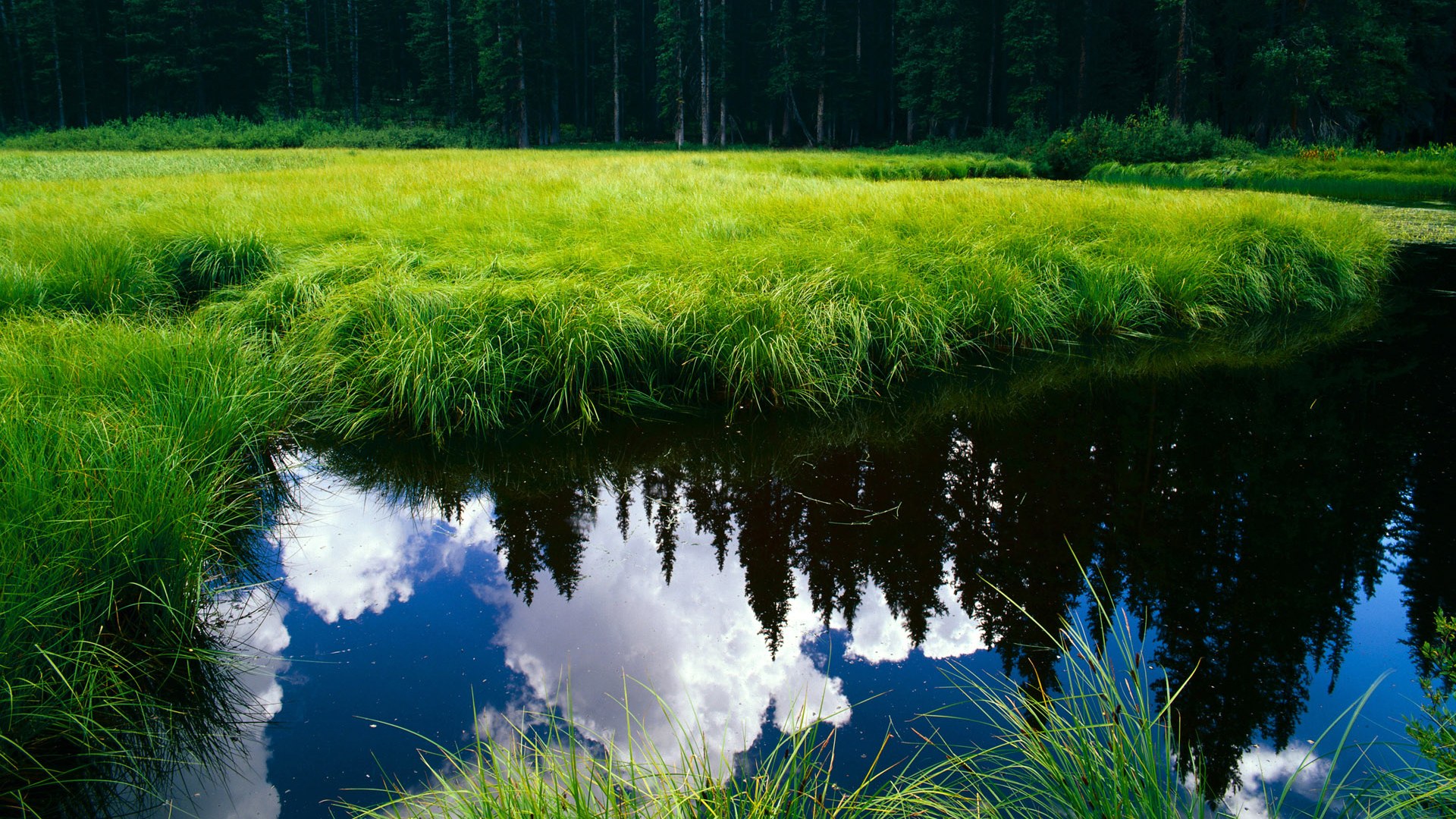 俱乐部利用大数据分析优化训练计划提升比赛表现,大数据比赛数据分析