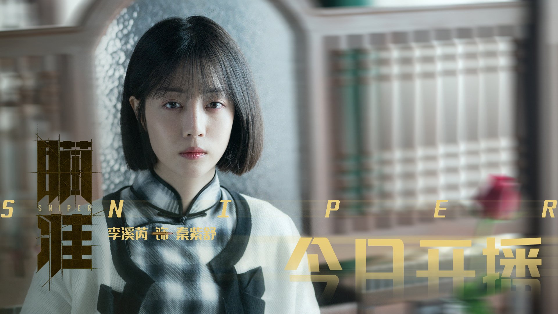 女子篮球青训经费增长,地方联赛扩容提速,女子篮球训练营