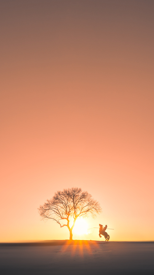 水球节奏控制波兰主导全场,水球技巧