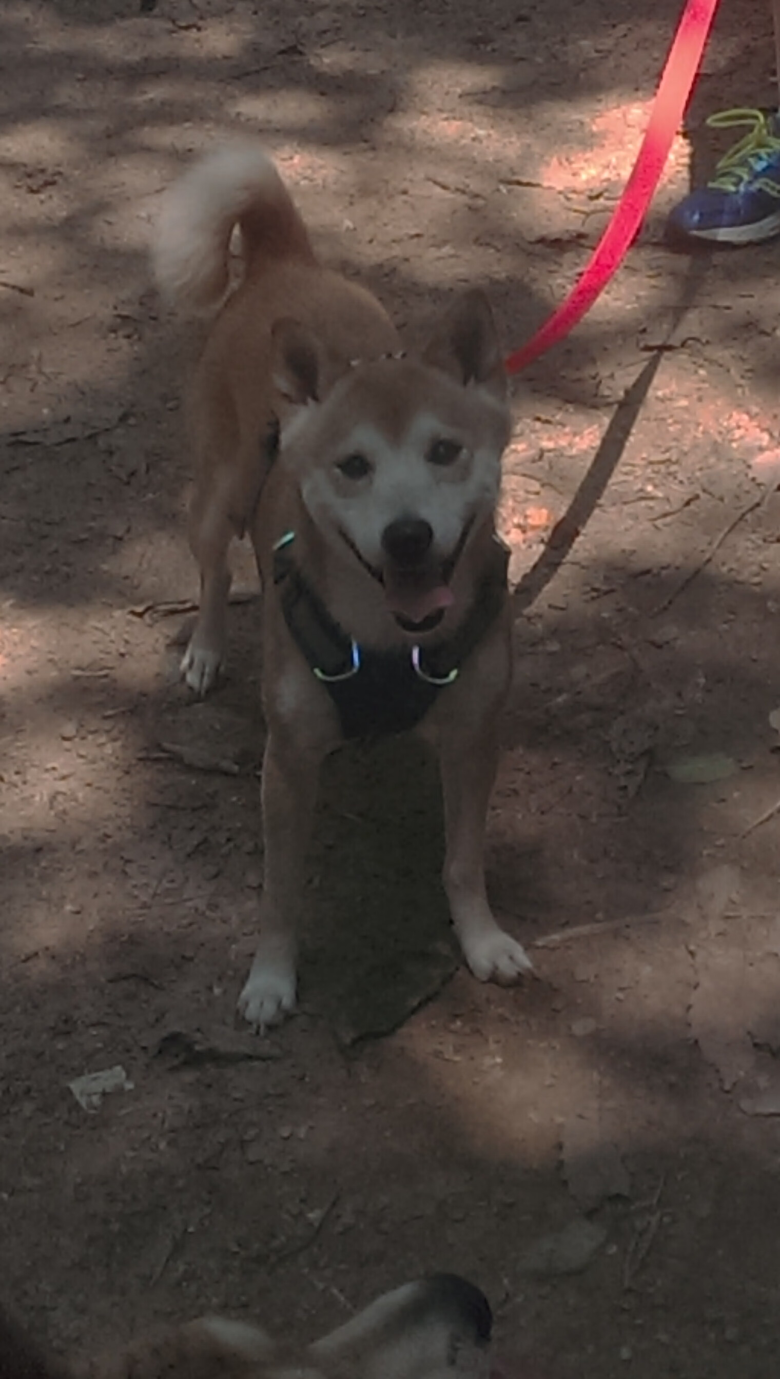 开云体育登录入口-中国足球比赛中的失误分析与技术纠正训练，足球比赛有哪些失误