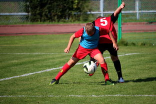 开运体育电脑版-中国足球职业联赛推动俱乐部市场化运营，我国足球俱乐部的基本模式